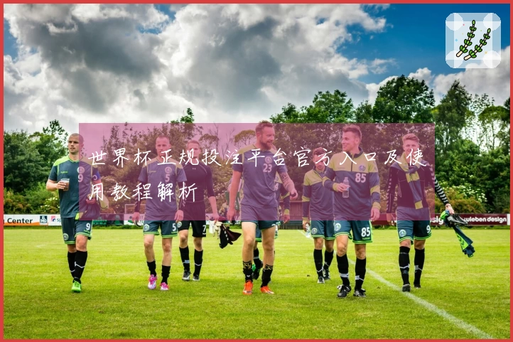 世界杯正规投注平台官方入口及使用教程解析