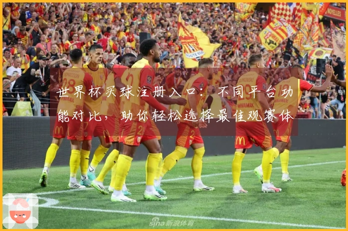 世界杯买球注册入口：不同平台功能对比，助你轻松选择最佳观赛体验