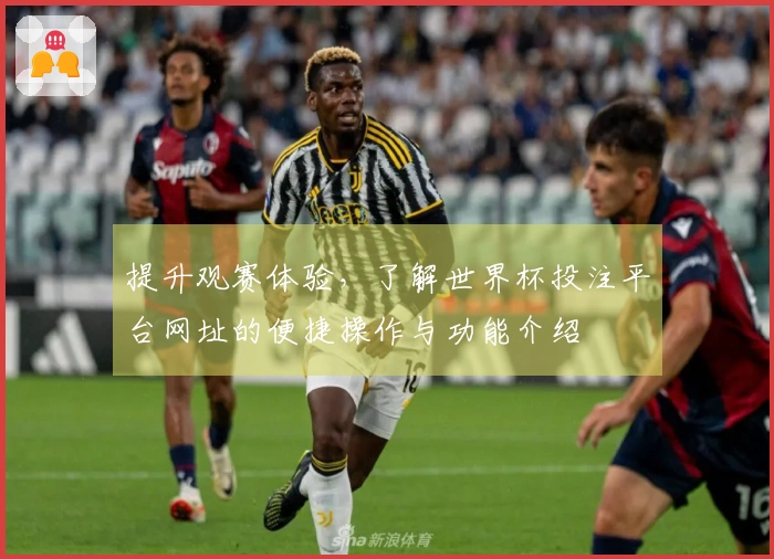 提升观赛体验，了解世界杯投注平台网址的便捷操作与功能介绍