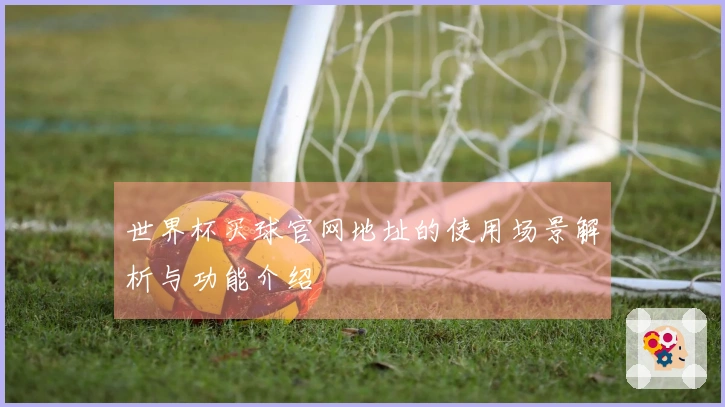 世界杯买球官网地址的使用场景解析与功能介绍