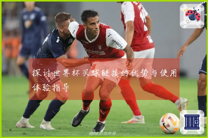 探讨世界杯买球链接的优势与使用体验指导