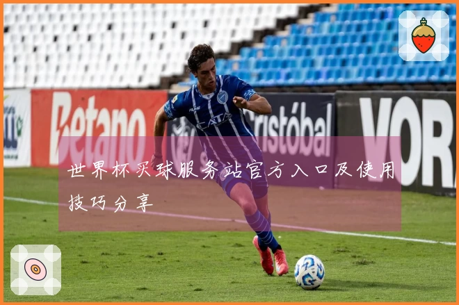 世界杯买球服务站官方入口及使用技巧分享