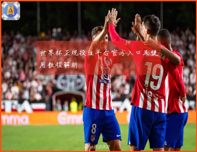世界杯正规投注平台官方入口及使用教程解析