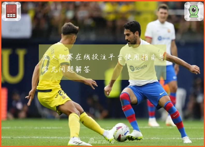五大联赛在线投注平台使用指南与常见问题解答