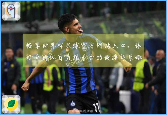 畅享世界杯买球官方网站入口，体验全新体育直播平台的便捷与乐趣