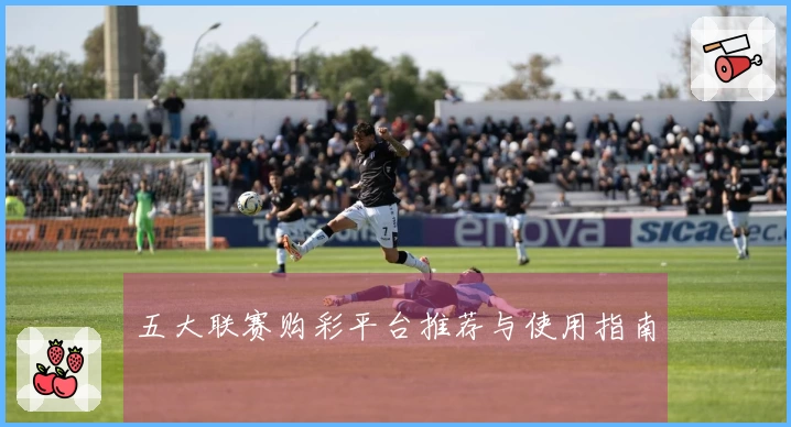 五大联赛购彩平台推荐与使用指南