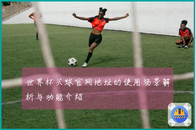 世界杯买球官网地址的使用场景解析与功能介绍