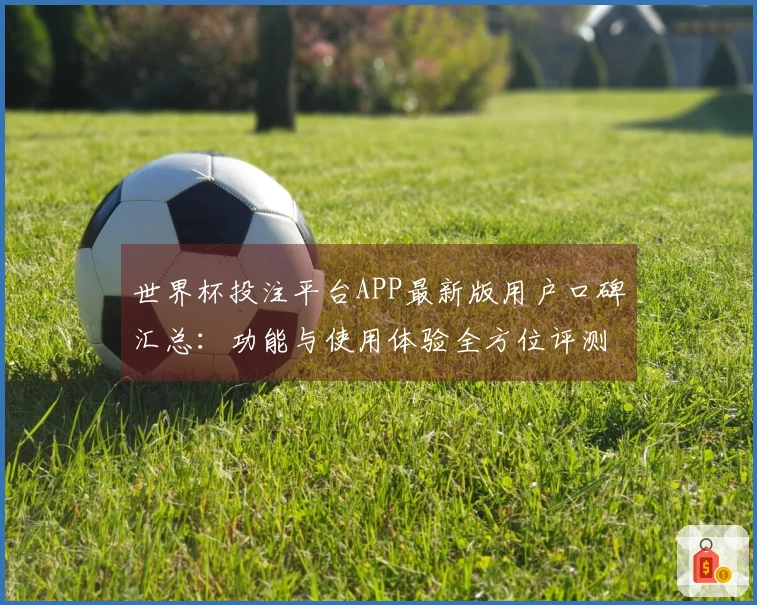 世界杯投注平台APP最新版用户口碑汇总：功能与使用体验全方位评测