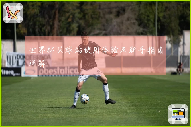 世界杯买球站使用体验及新手指南详解