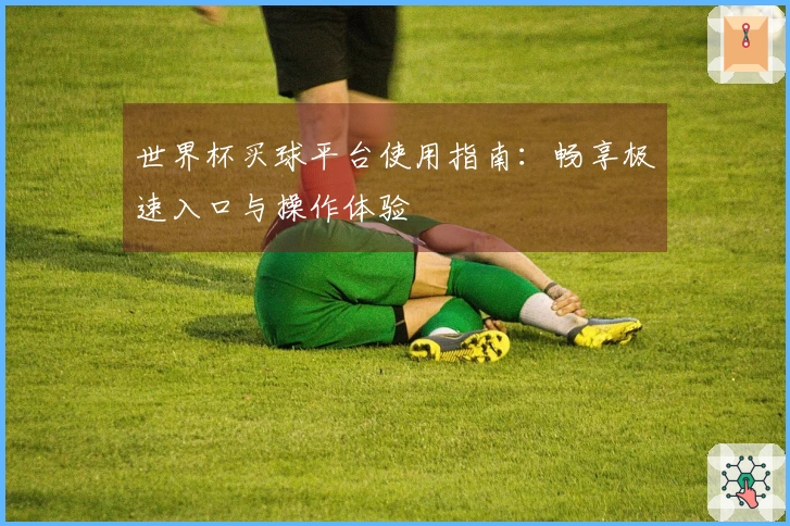世界杯买球平台使用指南：畅享极速入口与操作体验