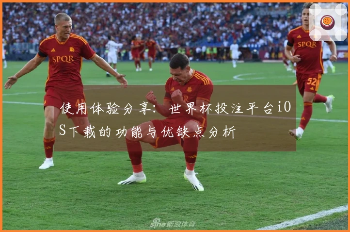 使用体验分享：世界杯投注平台iOS下载的功能与优缺点分析
