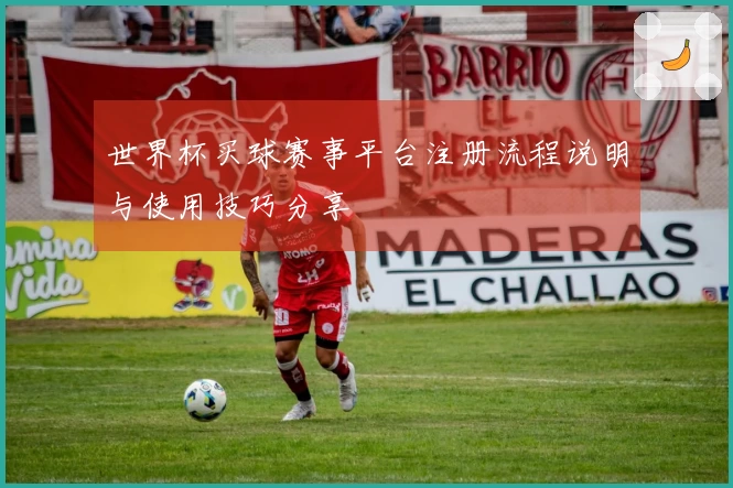 世界杯买球赛事平台注册流程说明与使用技巧分享