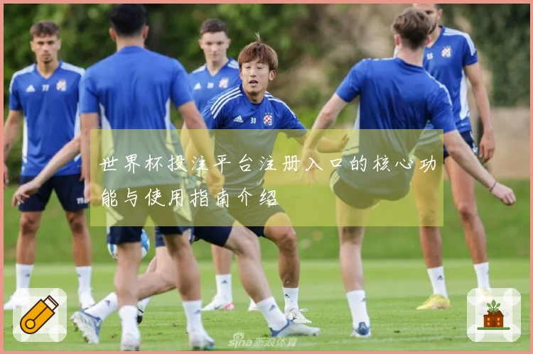 世界杯投注平台注册入口的核心功能与使用指南介绍