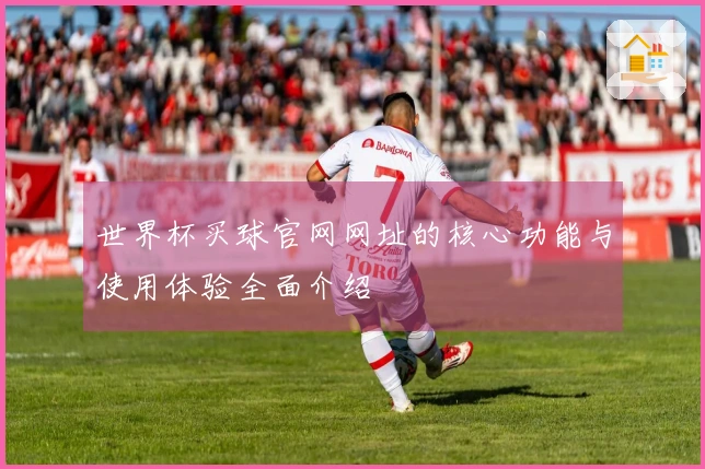 世界杯买球官网网址的核心功能与使用体验全面介绍