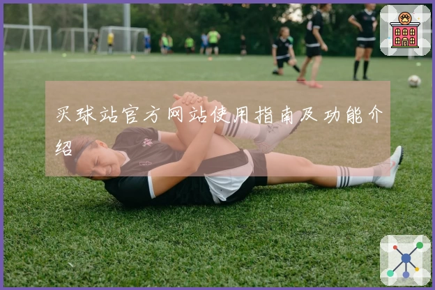 买球站官方网站使用指南及功能介绍