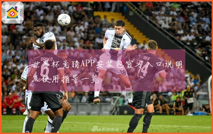 世界杯竞猜APP安装包官方入口说明及使用指导一览