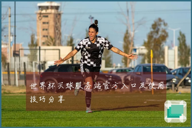 世界杯买球服务站官方入口及使用技巧分享