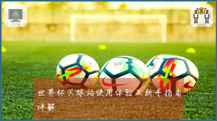 世界杯买球站使用体验及新手指南详解