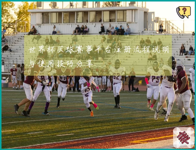 世界杯买球赛事平台注册流程说明与使用技巧分享